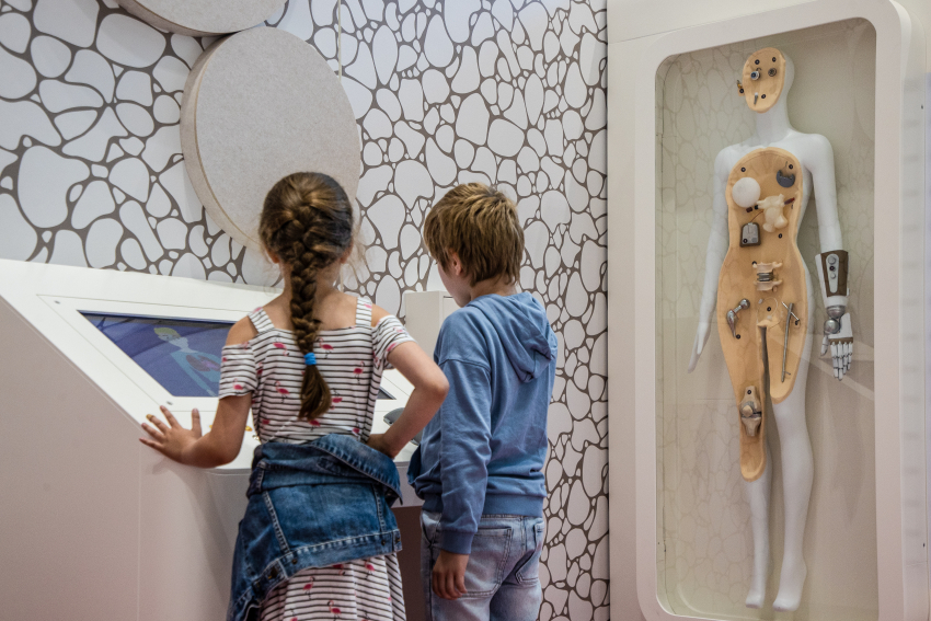 Dzieci przy tablicy interakcyjnej dotyczącej anatomii człowieka.