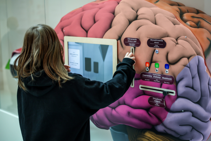 Chłopiec na wystawie stałej.