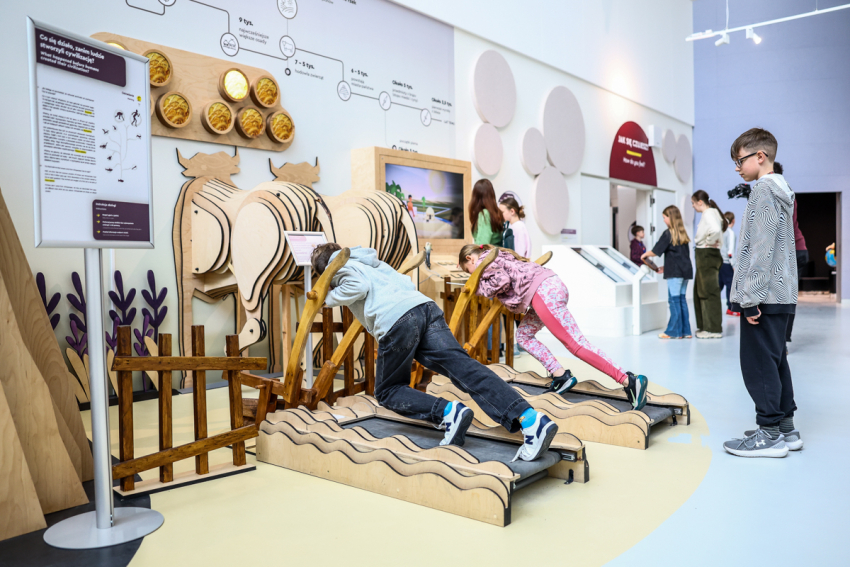 Wystawa stała. Konstrukcje zwierząt z drewna napędzane chodzeniem.