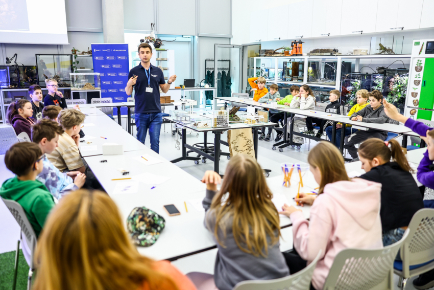 Laboratorium przyrodnicze. Warsztaty o życiu mrówek.