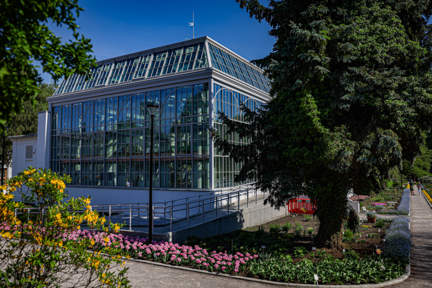 ogród Botaniczny