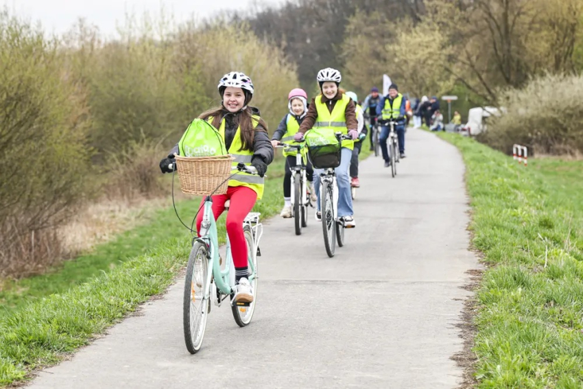 Grupa osób jedzie na rowerach po wąskiej asfaltowej ścieżce wśród zieleni