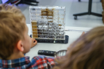 Laboratorium przyrodnicze. Terrarium pokazujące życie mrówek.