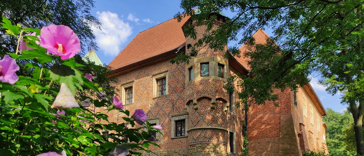 Zamek w Dębnie