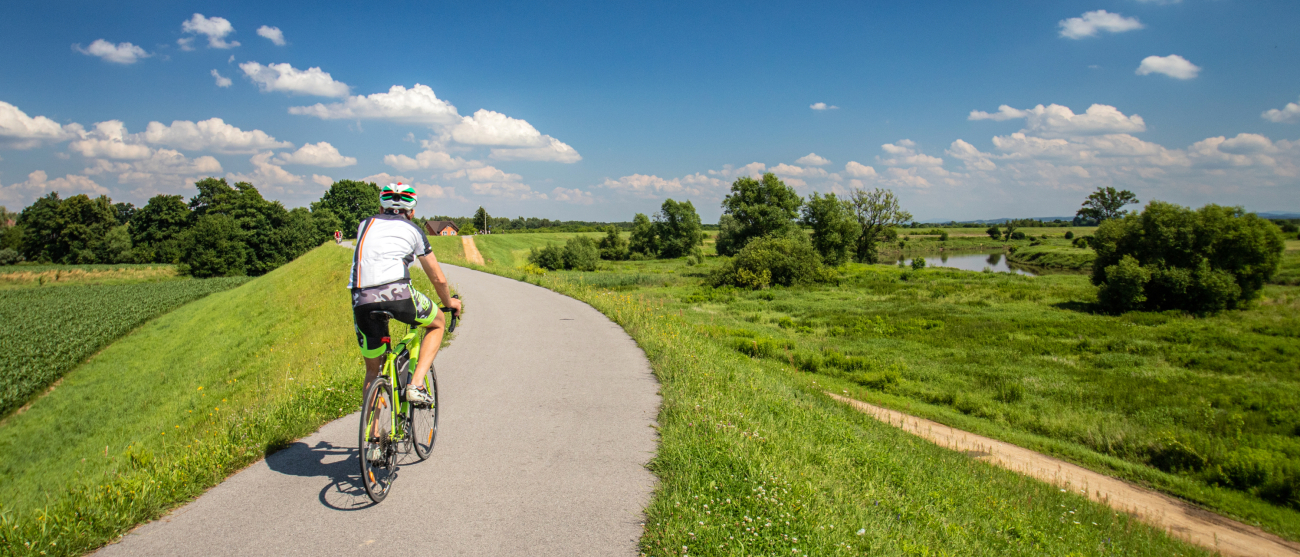 Rowerzysta na ścieżce rowerowej.